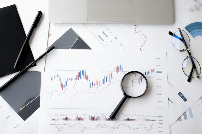 Financial Strategy & Sustainability